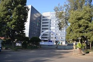 Ethiopia, Netherlands Shift Partnership