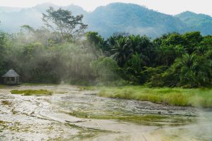 FDC, NRM Compete for Rwenzori