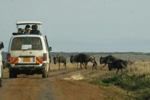 Kenya Targets Intra-Africa Tourism