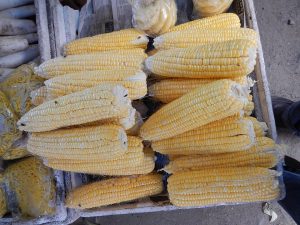 Zambia, Malawi Finalize Maize Deal
