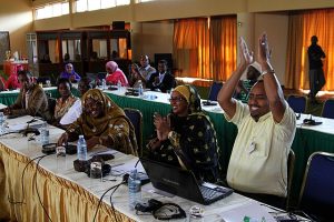 IASP Hosts Africa Strategy Conference