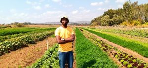 Experts Urge Youth Agribusiness Reforms