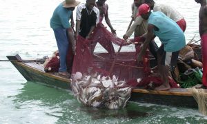 Zambia Pushes Sustainable Fishing