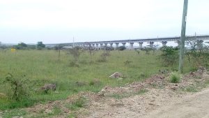 Uganda to Join Kenya Pipeline and SGR