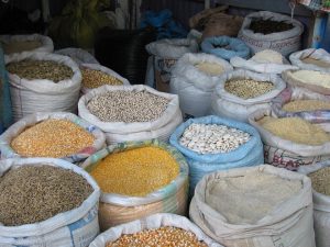 Ethiopia Expands Pulses Export Reforms
