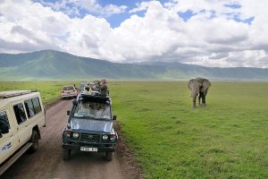 Travel, Tourism Resume Across Tanzania