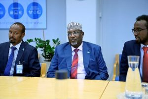 Somali Speaker, EU Discuss Governance