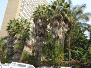 Govt Acquires Landmark Hotel for MPs