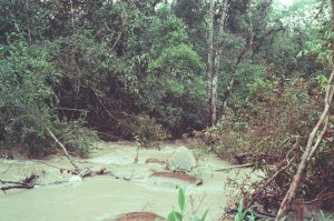 Fury Grows Over Chinese Mining