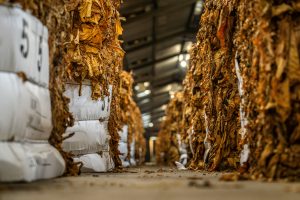 Mnangagwa Opens Tobacco Plant