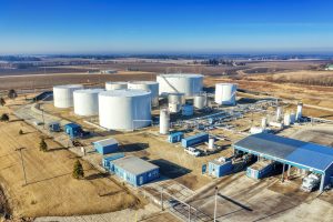 Dangote Revives $1bn Zimbabwe Plans