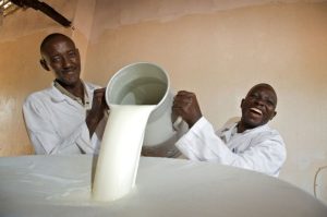 Brookside Pays Milk Farmers KSh 257m