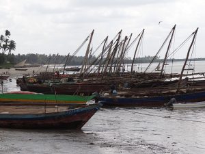 TPA, AGL to Build $10bn Port Hub