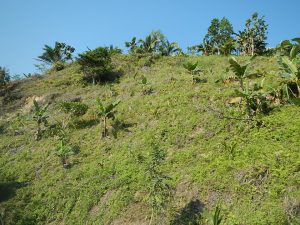 Uganda Royals, Leaders Protect Land