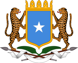 Somalia Urges Calm After Boorama Unrest