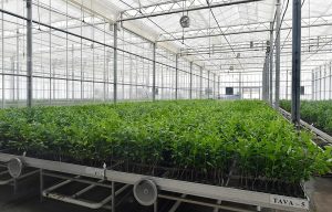 Tanzania Launches $640m Agro Project