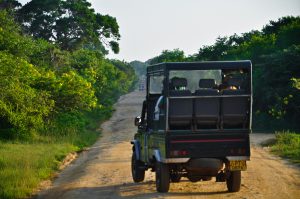 Duty-Free Safari Imports Extension