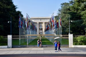 UN Adopts Framework for Sustainable AI