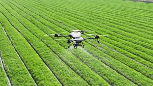 TAZAMA Flags K4m Drone Waste