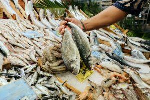 Somalia, Ethiopia Discuss Fish Trade