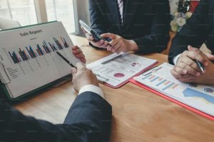 Audit Flags Passport Revenue Gaps