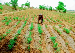 Govt Sets Deadline for Farmer Payments