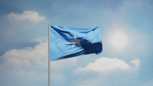 Somalia Joins Russia–Africa Talks