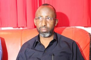 Algeria, Somalia Deepen Diplomatic Ties