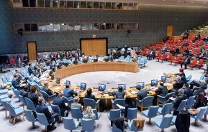 Somalia Backs UN Red Sea Security Vote