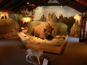 Uganda Hosts Wildlife Photo Exhibit