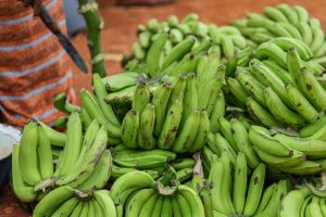 Zimbabwe Targets Banana Export Growth