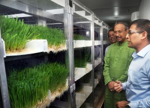 Uganda School Set Up Solar Hydroponics